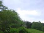 thumbs/DSC01241.png